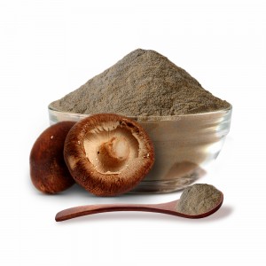 Shiitake Mushroom Extract Powder